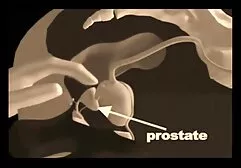 Nézd pornó valóság királyok-Szexi Fekete, jó erőszakossex minőségű, szex, szopás, cum.