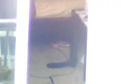 Pornóvideók nézése egy lány, a barna, az összes Fekete, jó leszbi erőszak minőségű, a HD pornó kategóriájában.